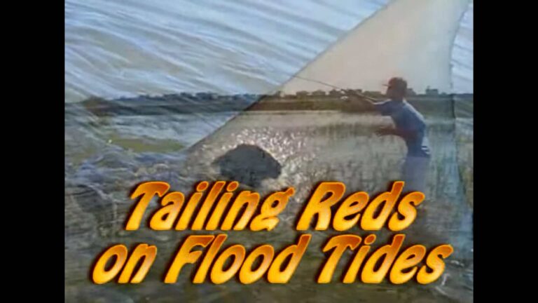 trailing reds video
