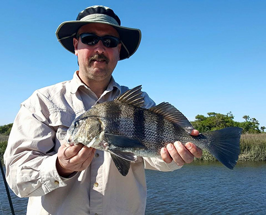 black drum