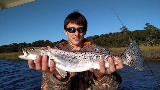 speckled trout