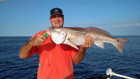 Bull Redfish