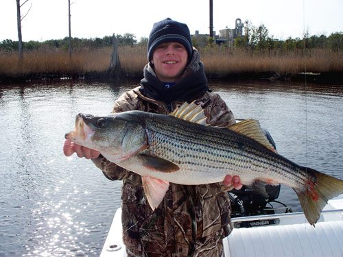 Winter striped bass fishing