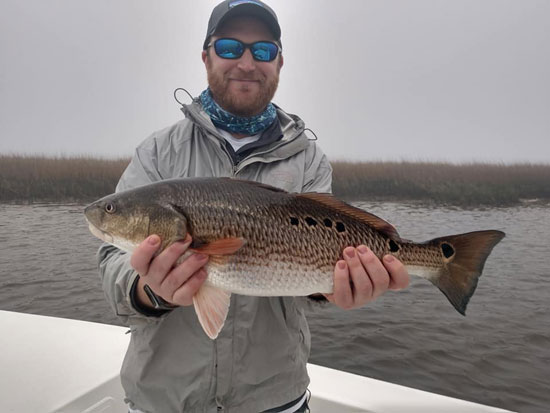 Red Drum