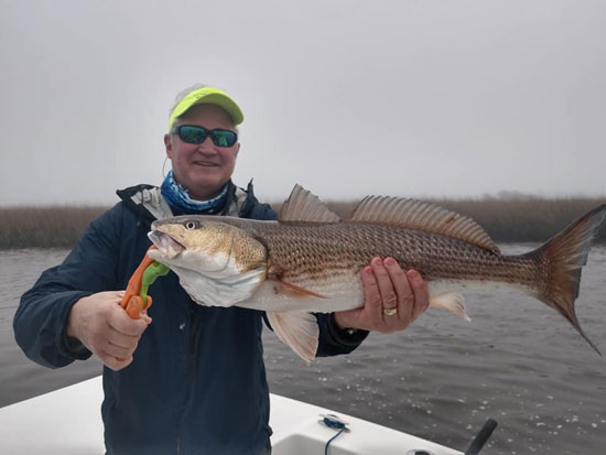 Red Drum