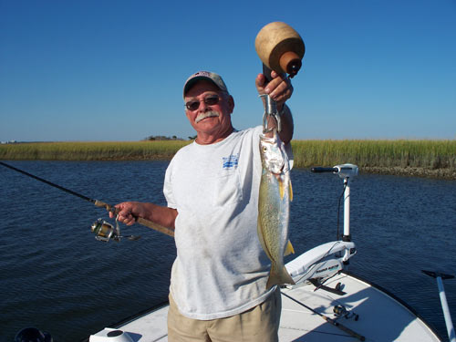 speckled trout on live shrimp