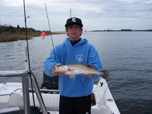 speckled trout