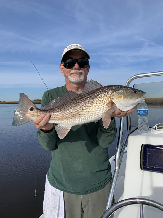 red drum