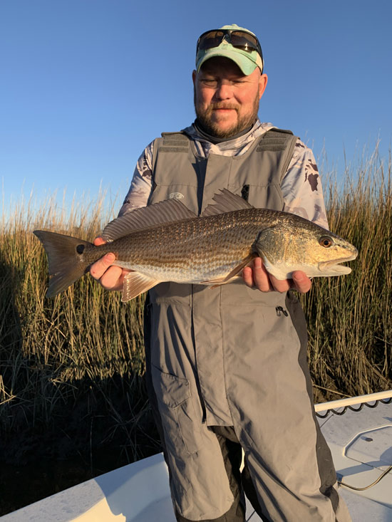 red drum