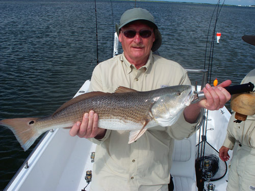 red drum