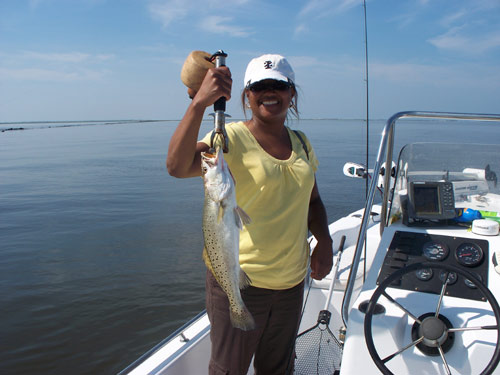 speckled trout