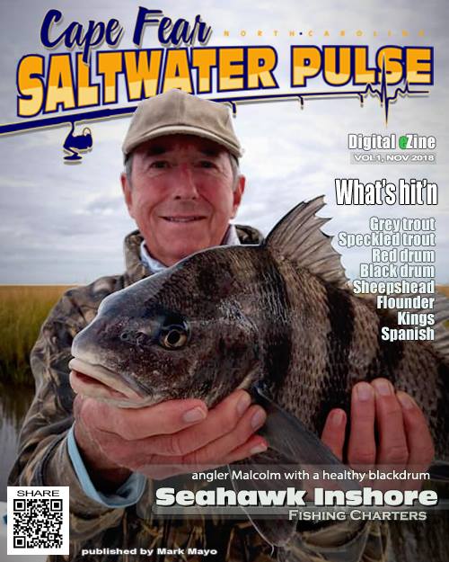 black drum, Saltwater Pulse cover Nov. 2018